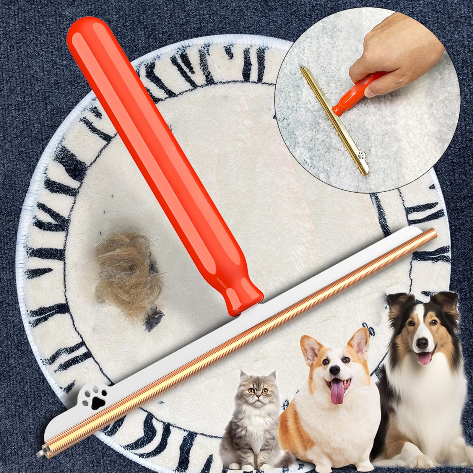 애완동물 털 제거용 카펫 레이크 1개, 손잡이가 있는  - Furniture Hardware Parts 리뷰 및 가격